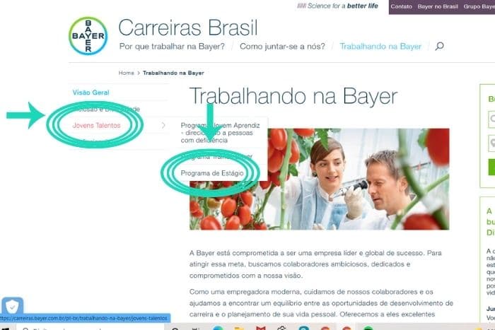 Dica do Emprego - Programa de estágio Bayer