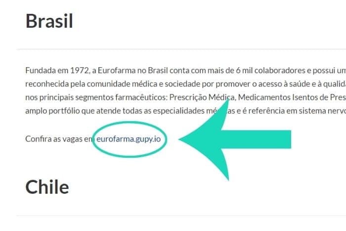 DE - Estágio Eurofarma corpo1