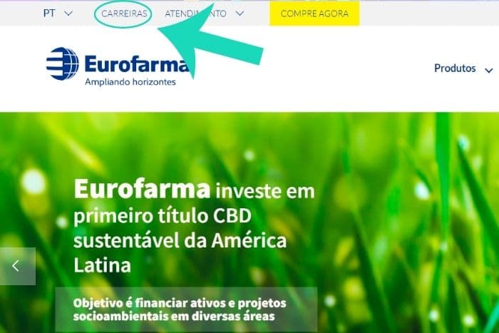 DE - Estágio Eurofarma corpo
