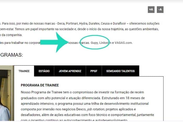 DE - Jovem Aprendiz Dexco corpo1