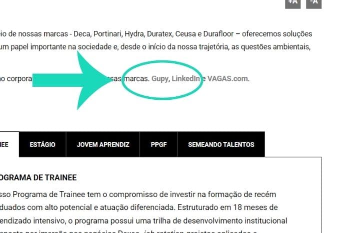 DE - Jovem Aprendiz Dexco corpo1